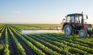 Tractor spraying soybean field at spring