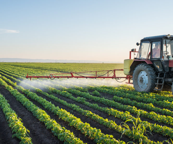 Tractor spraying soybean field at spring